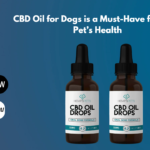 CBD Oil for Dogs