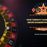 Turnkey Casino Software