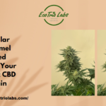 Regular Caramel Weed Seeds