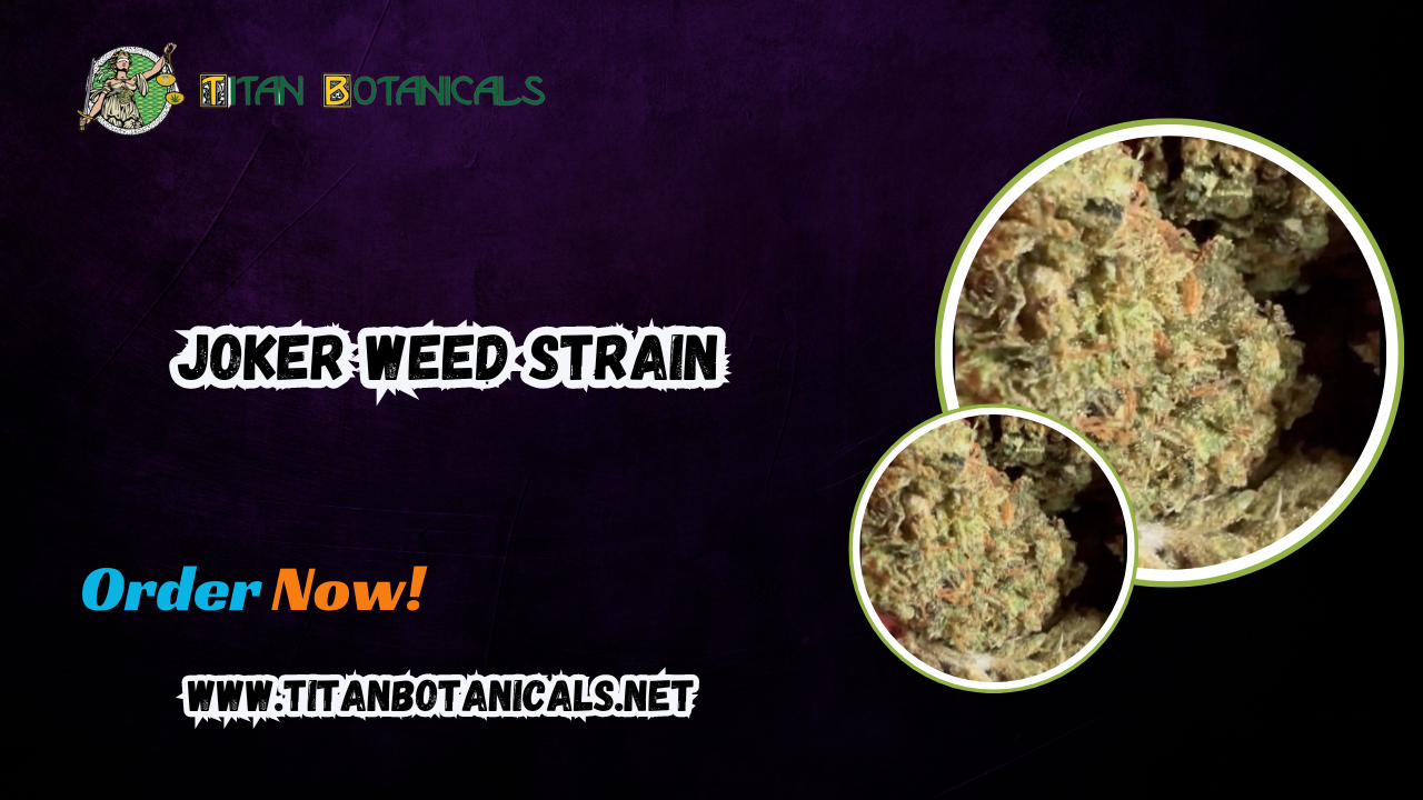 JOKER WEED STRAIN