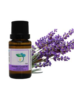 Lavender Essential Oil