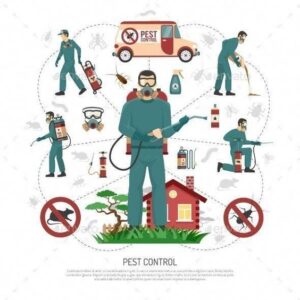 Pest Control Services in Lahore, termite treatment in lahore,