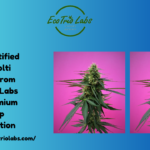 Buy Certified Kompolti Seeds