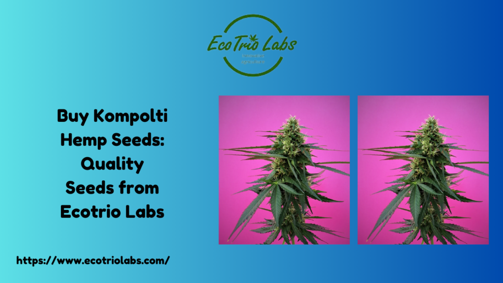 Kompolti Hemp Seeds