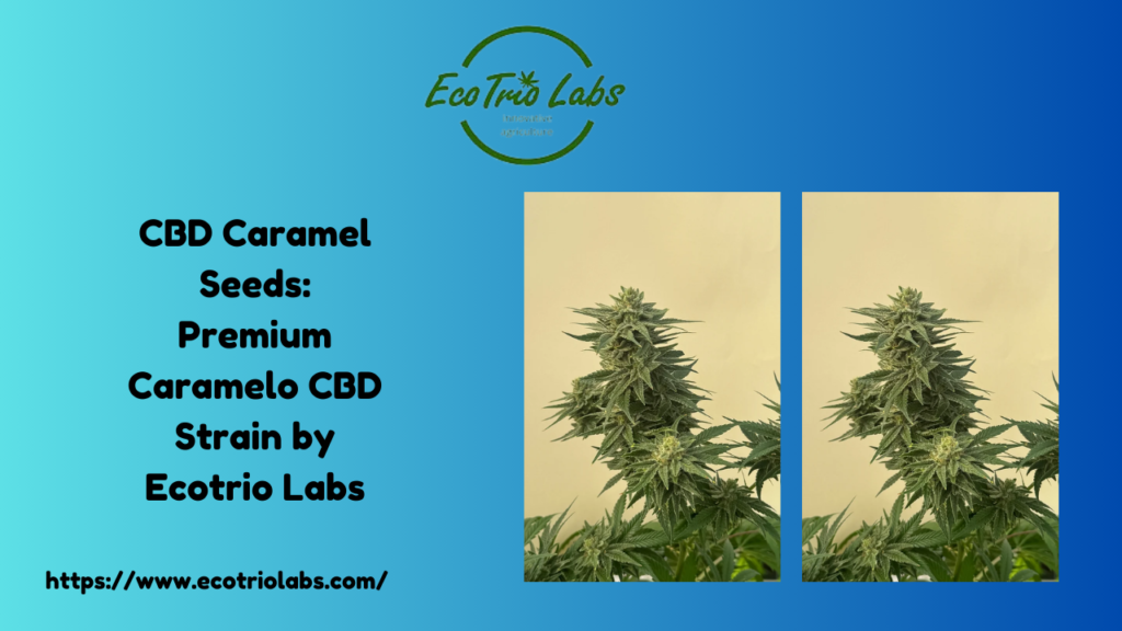 CBD Caramel Seeds