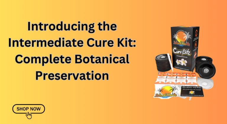 Intermediate Cure Kit