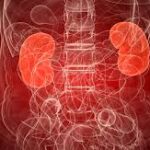 Kidney Health