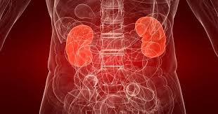 Kidney Health