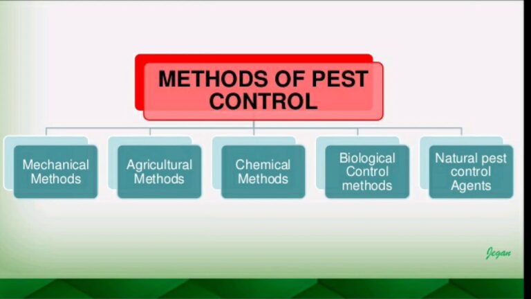 Pest Control Methods