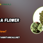 THCA Flower