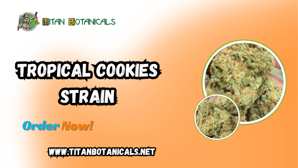 Tropical Cookies Strain