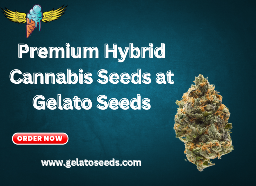 best hybrid cannabis seeds