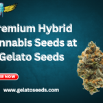 best hybrid cannabis seeds