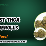 best THCa prerolls