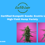 Buy Certified Kompolti Seeds