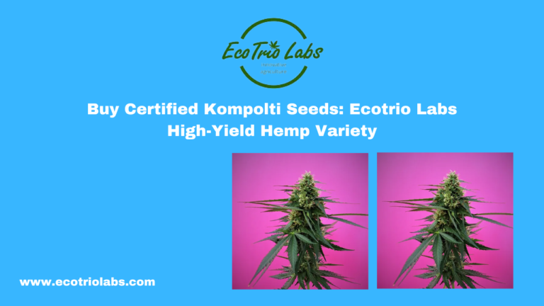 Buy Certified Kompolti Seeds