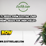 Kompolti Hemp Seeds