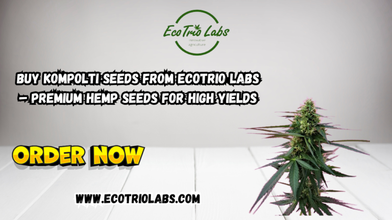 Kompolti Hemp Seeds