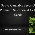 buy sativa cannabis seeds online