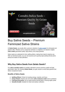 Buy Sativa Seeds – Premium Feminized Sativa Strains