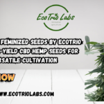 Fruit Cake Feminized Seeds