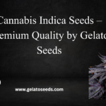 cannabis indica seeds