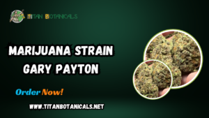 marijuana strain Gary Payton