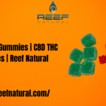 Hemp Gummies