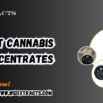 best cannabis concentrates