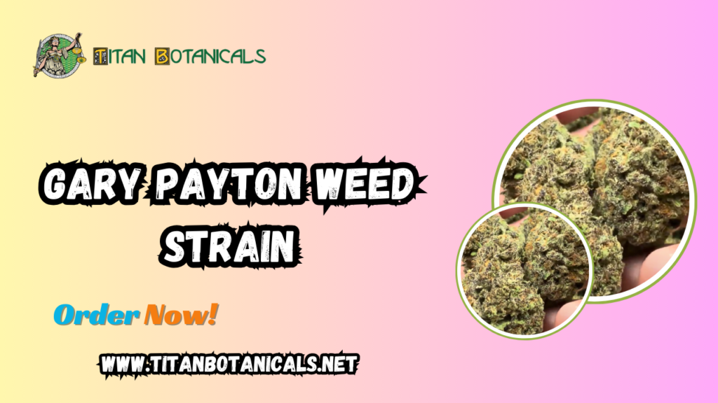 Gary Payton Weed Strain