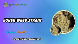 Joker Weed Strain