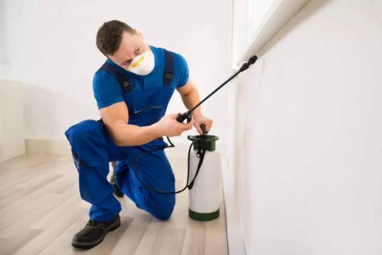 pest treatment services