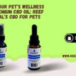 CBD for Pets