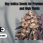 Indica Seeds