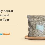 Eco-Friendly Animal Bedding