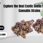 Exotic Seeds