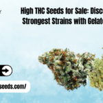 high THC seeds