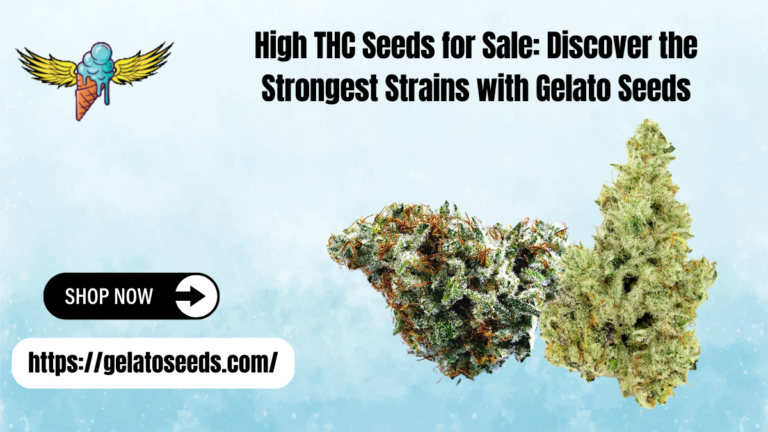 high THC seeds