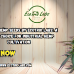 Kompolti Hemp Seeds