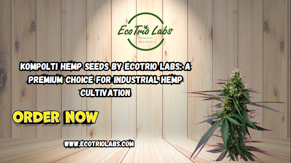 Kompolti Hemp Seeds