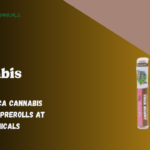 THCa Cannabis Blunts