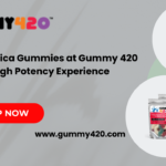 Sweet Indica Gummies at Gummy 420 A High Potency Experience