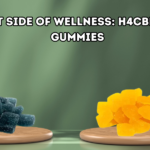 H4CBD gummies