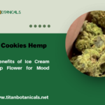 Unlock the Benefits of Ice Cream Cookies Hemp Flower for Mood Enhancement