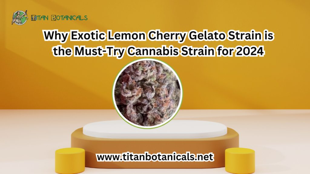 Exotic Lemon Cherry Gelato Strain