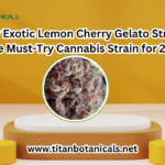 Exotic Lemon Cherry Gelato Strain