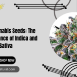 Hybrid Cannabis Seeds