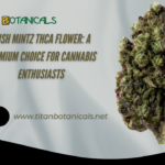 Kush Mintz THCA Flower