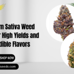 sativa weed seeds