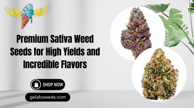 sativa weed seeds